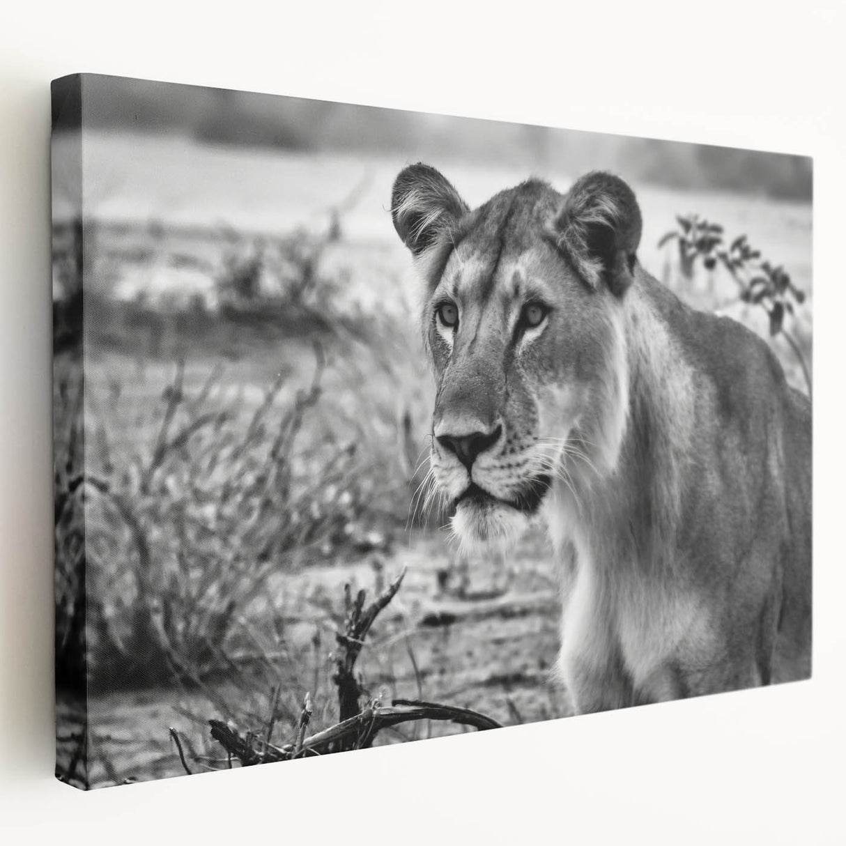 Large wall art on canvas depicting a serene African landscape in earthy tones, ideal for kitchen wall decor.