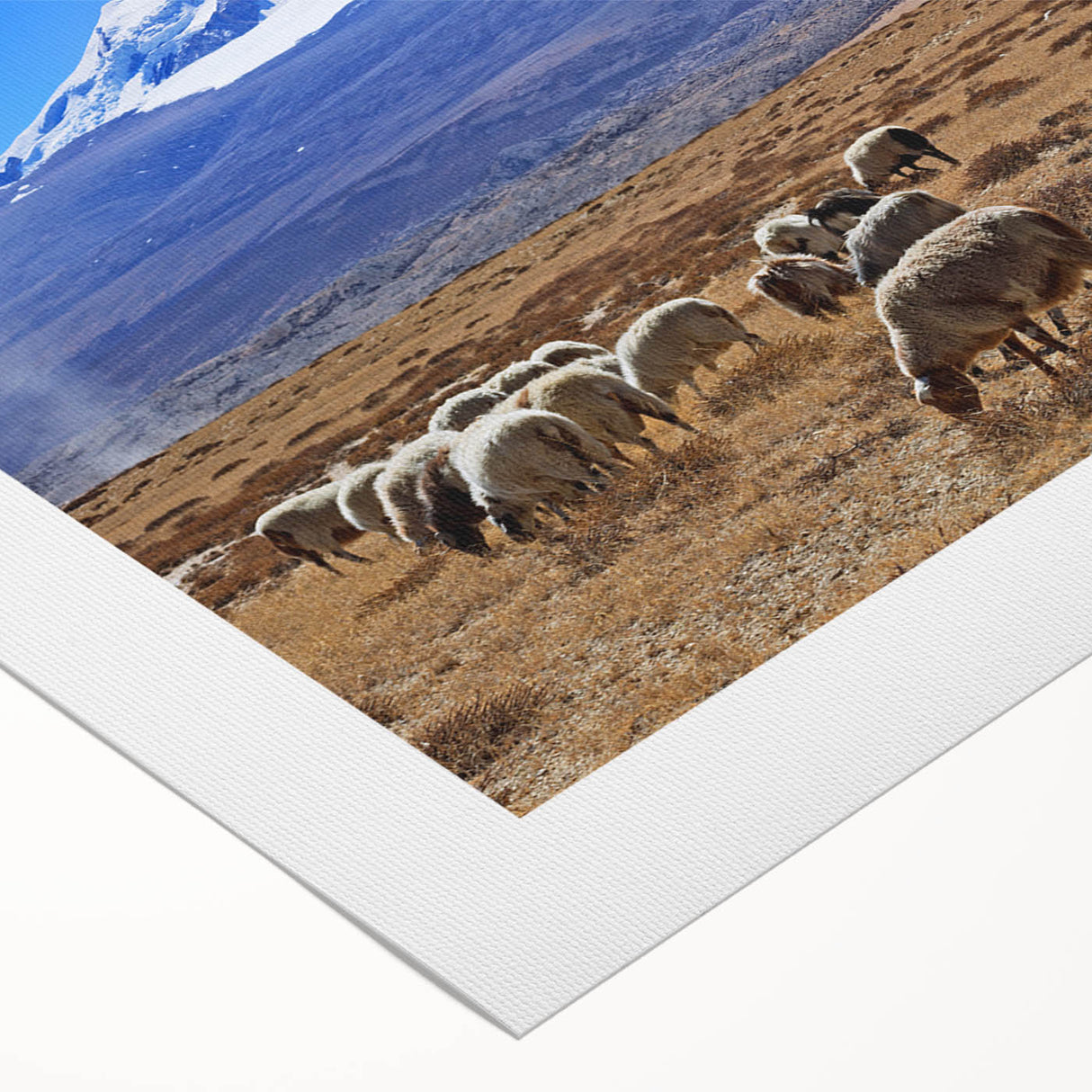 Art deco poster of a Tibetan landscape in muted earth tones on rolled canvas, ideal for dining room wall art.