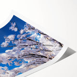 Extra large wall art featuring line art flowers in muted earth tones on a rolled print, ideal for large living room decor.