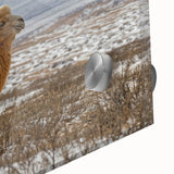 Large abstract wall art depicting a Mongolian landscape in muted earth tones on acrylic glass.