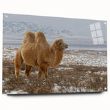 Large abstract wall art depicting Mongolian scenery on acrylic glass, ideal for bedroom or dining room decor.