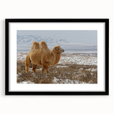 Abstract art print featuring a colorful, textured landscape of Mongolia on a large canvas, ideal for living room decor.