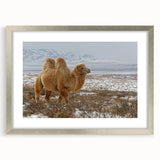 Textured abstract art print of a Mongolian landscape in muted earth tones on a framed silver mat, suitable for bedroom decor.