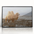 Large abstract wall art of a Mongolian landscape in muted earth tones, framed in black acrylic.