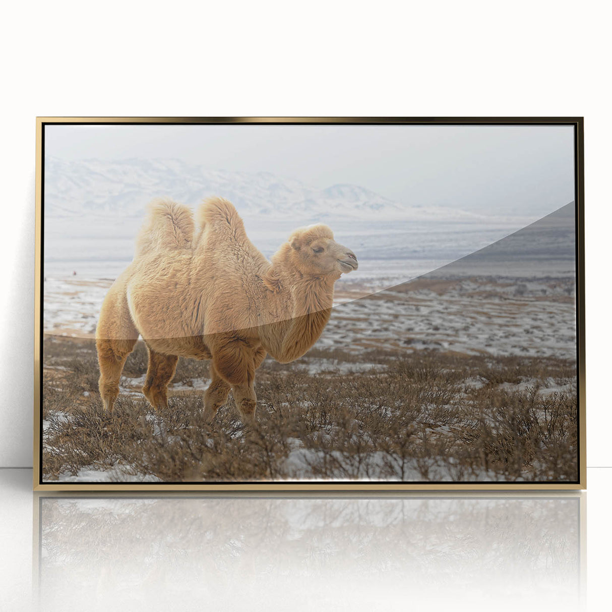 Framed acrylic print of a Mongolian landscape in earth tones, ideal for modern art wall decor.