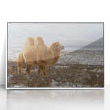 Acrylic print of a Mongolian landscape in muted earth tones, framed in white, suitable for modern art wall decor.
