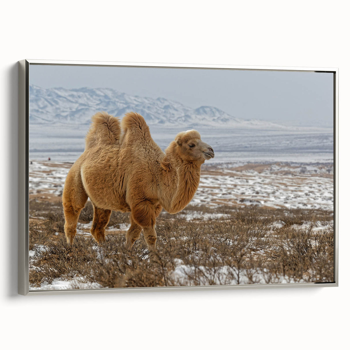 Framed canvas of a vintage-style Mongolian landscape painting, featuring vibrant colors on a black background.