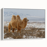 Vintage poster art of a Mongolian landscape on a framed canvas, featuring colorful art with black borders.
