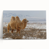 Black and white photograph of a Mongolian landscape on stretched canvas, ideal for kitchen wall art or bedroom ambiance.