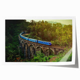 Extra large rolled print featuring a floral scene in Sri Lanka with vibrant green and blue tones.