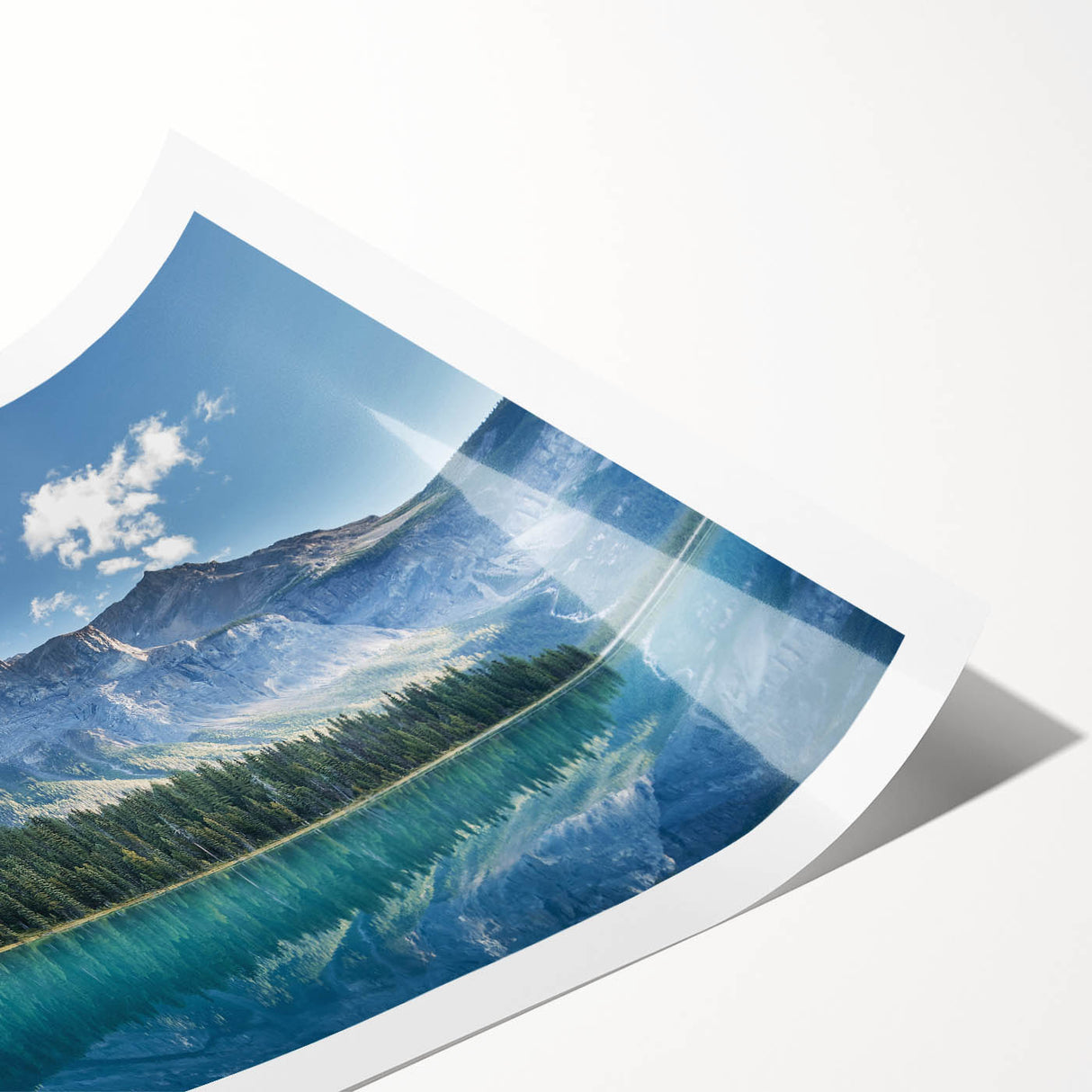 Extra large wall art featuring line art flowers in muted earth tones on a rolled print, ideal for large living room decor.