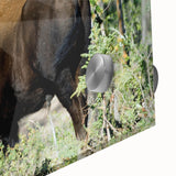 Large abstract wall art depicting the Northwest Territories scenery in muted earth tones on acrylic glass.