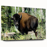 Large abstract wall art of Northwest Territories scenery in muted earth tones on acrylic glass.