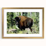 Extra large framed wall art depicting an abstract, textured scene of the Northwest Territories in muted earth tones.