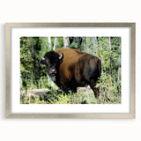 Textured abstract art print of the Northwest Territories in muted earth tones on a framed canvas, suitable for bedroom decor.