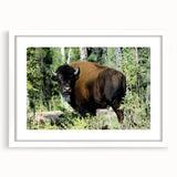 Abstract art print of Northwest Territories scenery in muted earth tones, framed with a white mat.