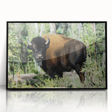 Large abstract wall art depicting the Northwest Territories in muted earth tones on a framed acrylic.