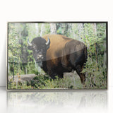 Mid-century modernist art depicting the Northwest Territories landscape on a silver-framed acrylic print.