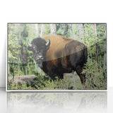 Acrylic print of a serene Northwest Territories landscape, in muted green and blue tones, framed in white.