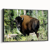 Black and white framed canvas of Northwest Territories landscape, suitable for bedroom wall art.