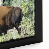 Extra large framed canvas featuring a textured depiction of the Northwest Territories in black with colorful art accents.