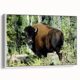 Vintage poster art of Canada's Northwest Territories on framed canvas, featuring vibrant colors, ideal for living room decor.