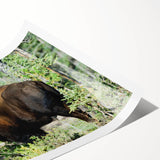 Extra large wall art featuring line art flowers in muted hues on a rolled print, suitable for large living room decor.