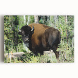 Black and white photograph of Northwest Territories landscape on large stretched canvas, ideal for kitchen wall art.