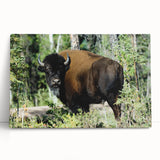 Black and white photograph of Northwest Territories scenery on stretched canvas, suitable as large kitchen wall art.