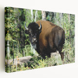 Panoramic landscape of Northwest Territories on stretched canvas with muted earth tones, suitable for kitchen wall art.