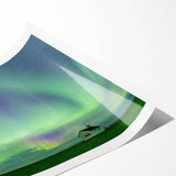 Extra large wall art featuring line art flowers in neutral tones on rolled print, suitable for large living room decor.