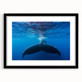 Extra large abstract art print depicting vibrant Caribbean scenery on a textured canvas, framed in black.