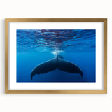 Abstract art print depicting a Caribbean scene in vibrant blue and green tones, framed in gold.