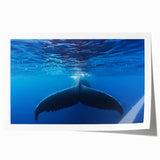 Extra large wall art featuring a Caribbean scenery with vibrant blue and green tones on a rolled print.