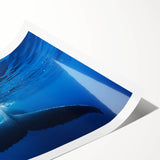 Extra large wall art featuring line art flowers in soft pastel shades on a rolled canvas, ideal for large living room decor.