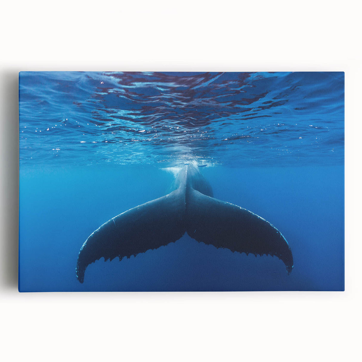 Black and white photo of Caribbean scenery on stretched canvas, ideal for kitchen wall art or bedroom ambiance.