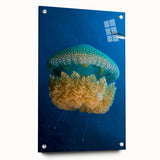 Large abstract wall art on acrylic glass depicting vibrant Caribbean scenery, ideal for bedroom or dining room decor.