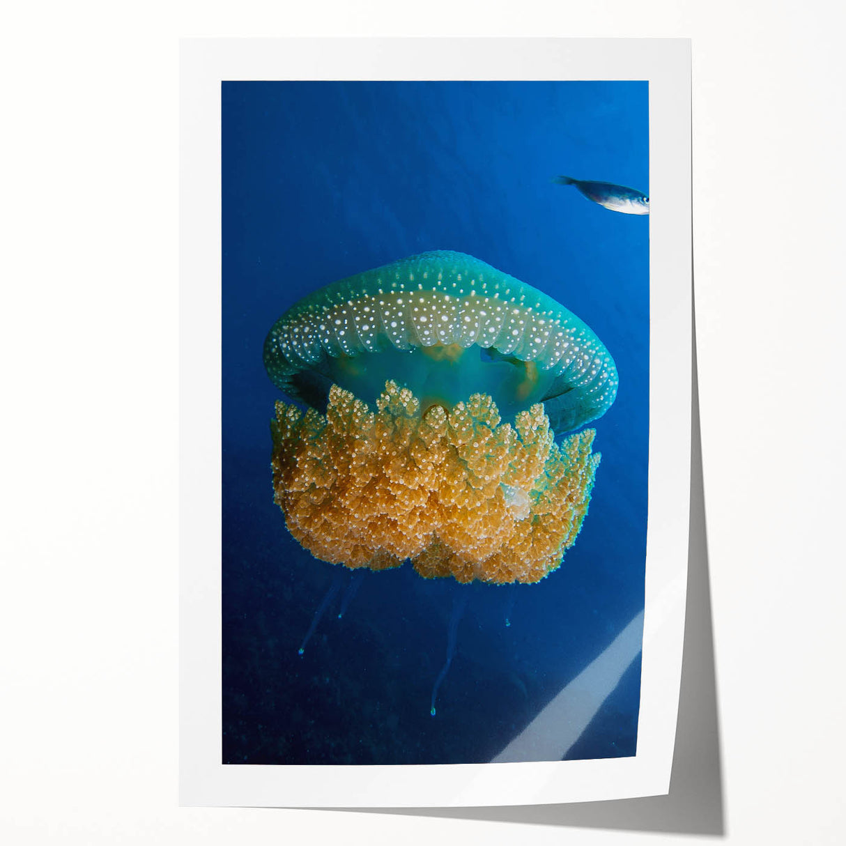 Extra large rolled print of Caribbean scenery with vibrant floral elements, ideal for art wall dining room or bathroom.