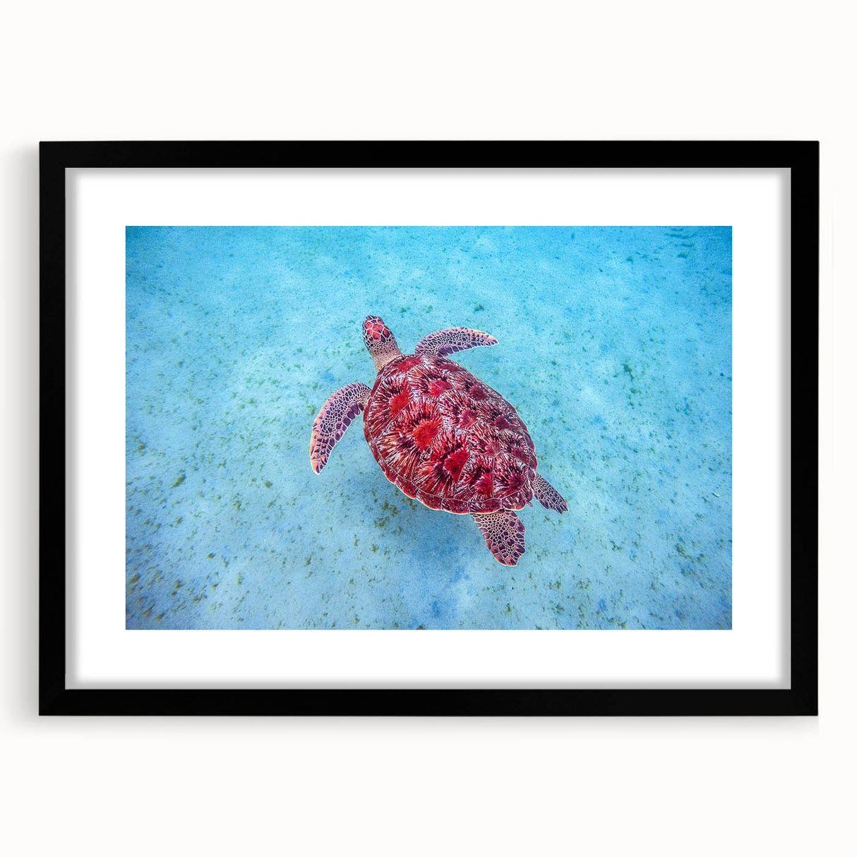Extra large abstract art print of a vibrant Caribbean scenery on textured canvas, framed in black.