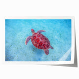 Rolled print of a Caribbean Martinique scenery with vibrant green and blue tones, ideal for dining room wall art.