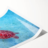 Extra large rolled print featuring line art flowers in soft pastel hues, ideal for large living room wall art.