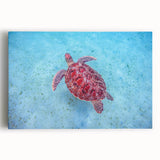 Black and white panoramic print of Caribbean scenery on stretched canvas, ideal for kitchen wall art.