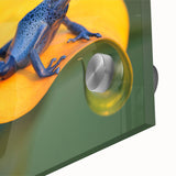 Large abstract wall art featuring a vibrant Costa Rican landscape on acrylic glass, ideal for dining room ambiance.