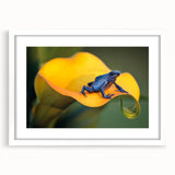 Abstract art print depicting a vibrant, colorful Central American landscape on a white-framed canvas.