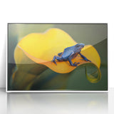 Acrylic print of a serene Costa Rican landscape, featuring lush greenery and distant mountains, framed in white.