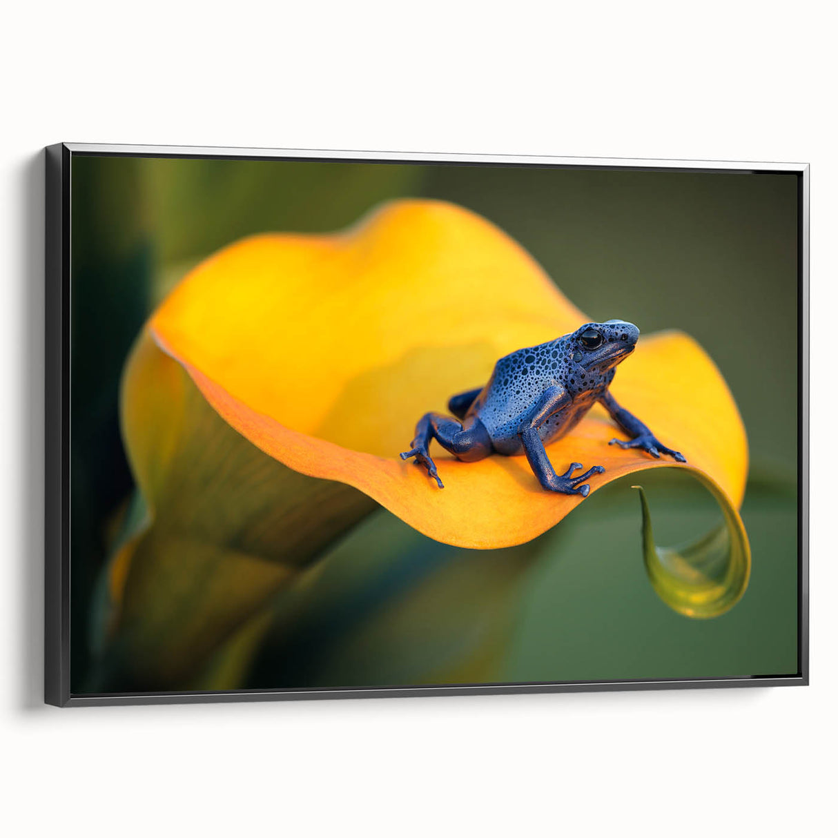 Black and white vintage poster art of a Costa Rican landscape on framed canvas, ideal for bedroom wall decor.