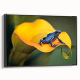 Black and white vintage poster art of a Costa Rican landscape on framed canvas, ideal for bedroom wall decor.