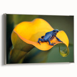 Framed canvas featuring a vintage-style landscape painting of a Costa Rican scenery in colorful hues.