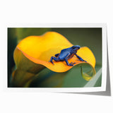 Rolled canvas print featuring a lush Costa Rican landscape in vibrant green and blue tones, ideal for dining room wall art.