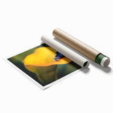 Extra large rolled print of a Costa Rican landscape with vibrant greenery and floral elements.
